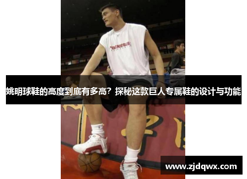 姚明球鞋的高度到底有多高？探秘这款巨人专属鞋的设计与功能