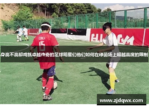 身高不高却成就卓越传奇的足球明星们他们如何在绿茵场上超越高度的限制