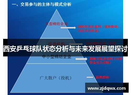 西安乒乓球队状态分析与未来发展展望探讨