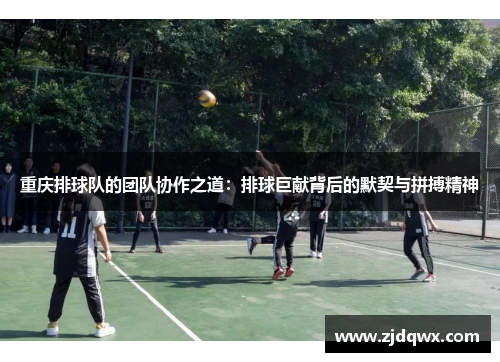 重庆排球队的团队协作之道：排球巨献背后的默契与拼搏精神